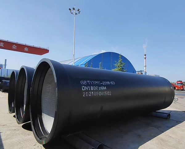 ed_1655965709299447.jpg 01.jpg