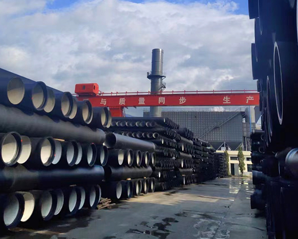 ed_1655965865328471.jpg 06.jpg