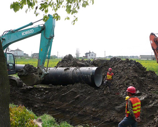 ed_1655966627493854.jpg 01.jpg